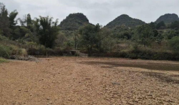 青草青草视频,探寻自然之美与生命力量